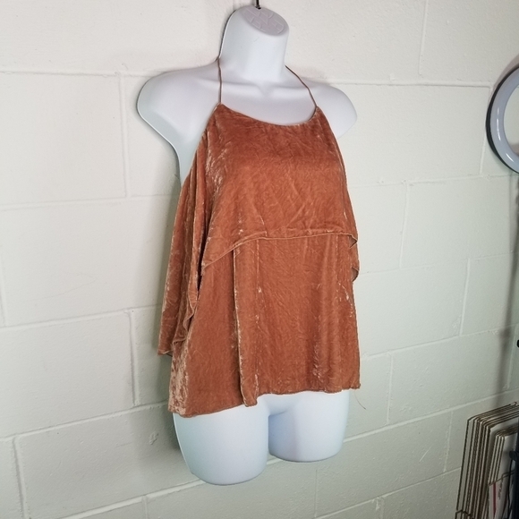 Alice + Olivia Marybeth velvet halter top - Picture 7 of 14